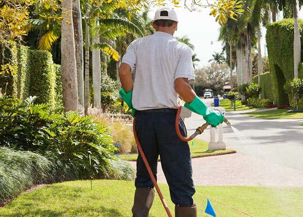 About Victory Mills NY Pest Control